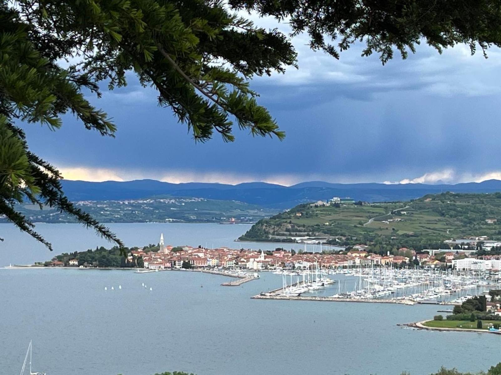 First Row To The Sea - Maremi Izola Apartment Terrace Dış mekan fotoğraf